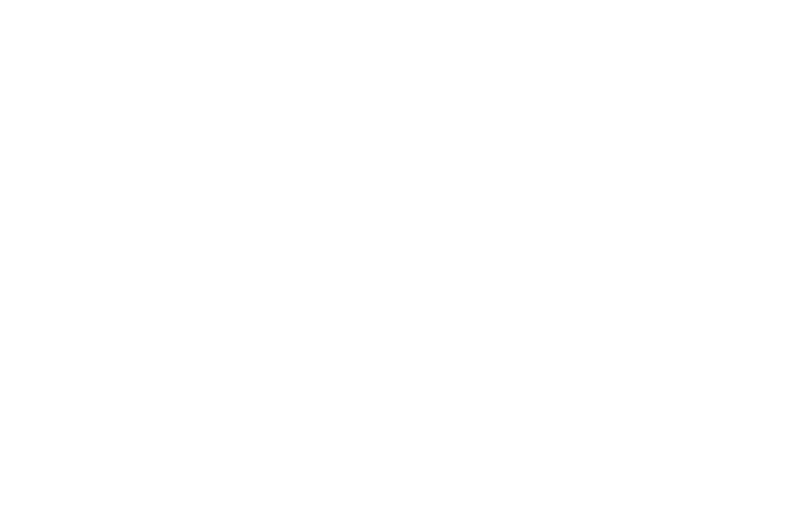 ДМ Консалт Плус