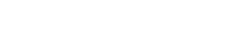 ДМ Консалт Плус